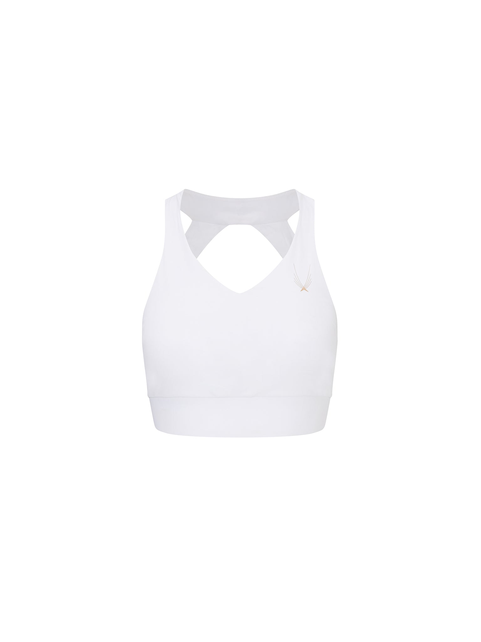 Dynamo Sports Bra