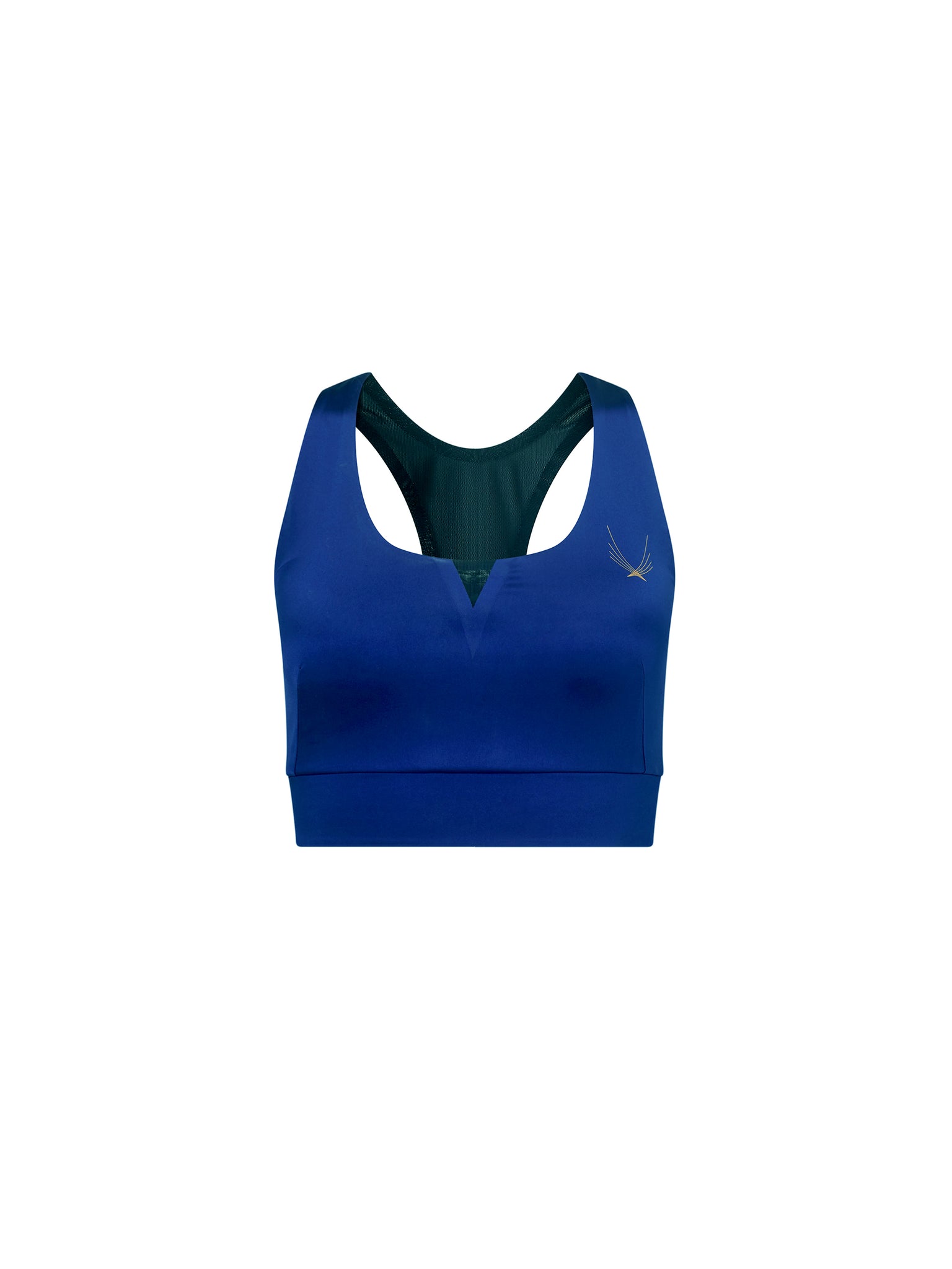 Moonlight Blues Exclusive Sports Bra for Women freeshipping - Catch My  Drift India