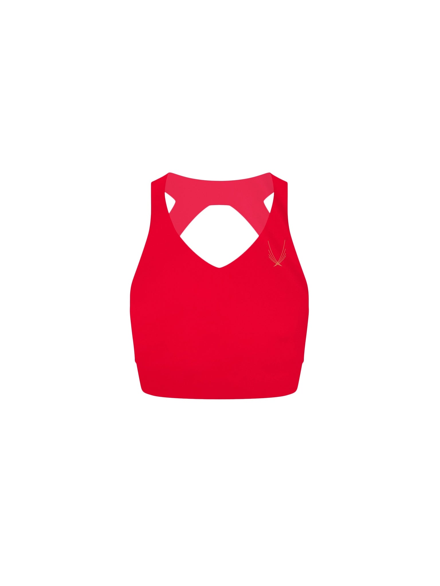 Dynamo Sports Bra